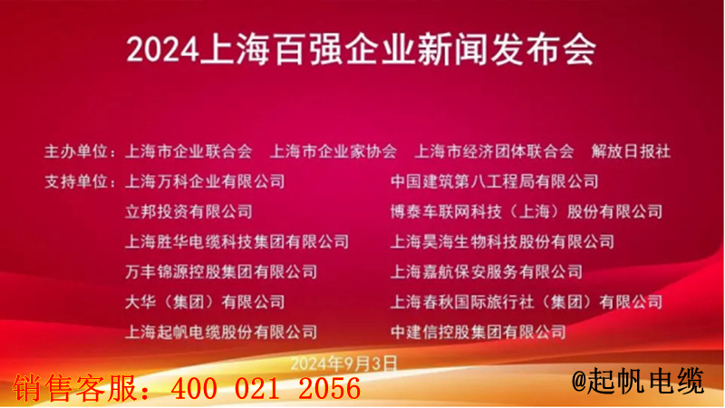 1.2024年上海百強(qiáng)企業(yè)新聞發(fā)布會(huì)